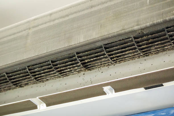 Best Ductwork Cleaning Services  in Walnut, CA